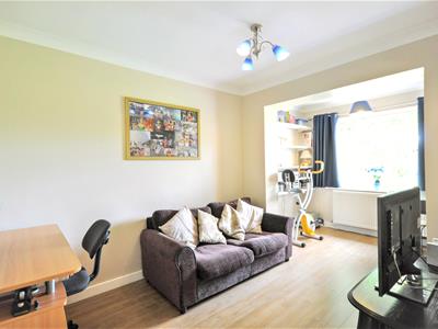 Picture 20